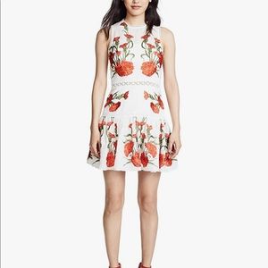 Alexis Sabella dress NWT